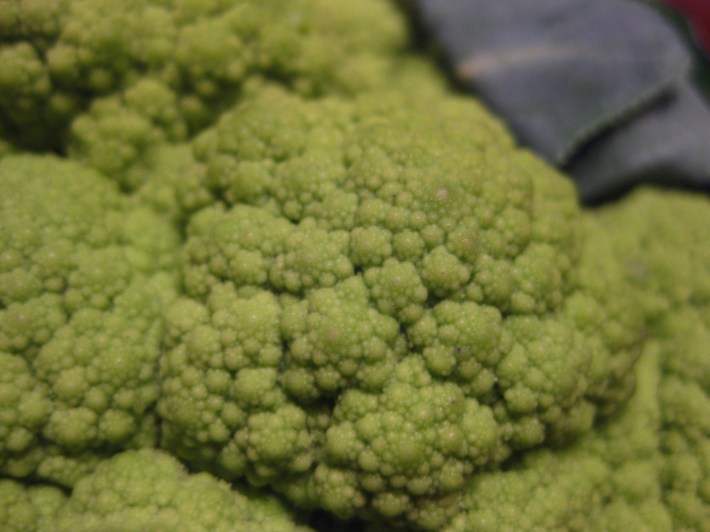 broccocloseup broccocloseup